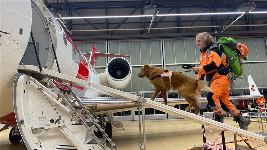 Yaralarımızı birlikte sardık: Dünya, ‘büyük felaket’in ardından Türkiye için seferber oldu