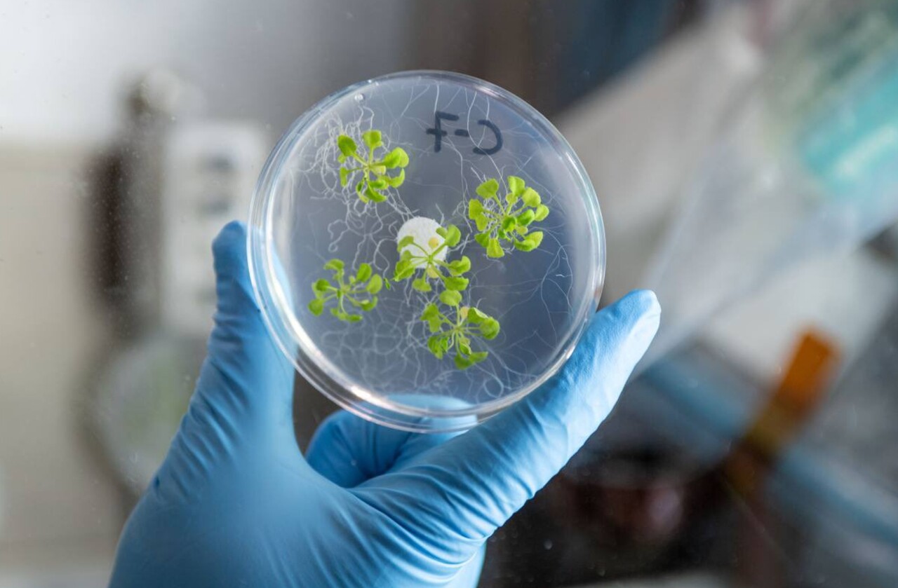 Alper Gezeravcı uzayda ne yaptı? Alper Gezeravcı’nın uzayda yaptığı deneyler ve sonuçları