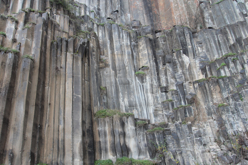 Dünyada çok ender, Türkiye'de ise sadece Sinop'ta: Tam 5 milyon yıl yaşında