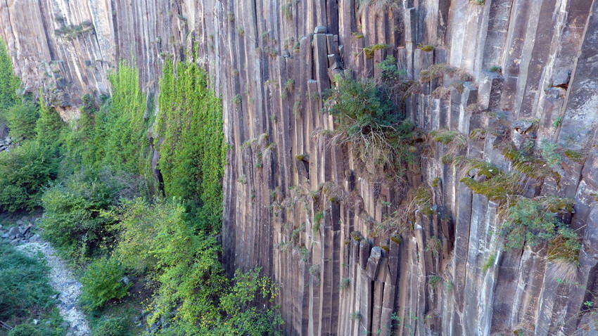 Dünyada çok ender, Türkiye'de ise sadece Sinop'ta: Tam 5 milyon yıl yaşında