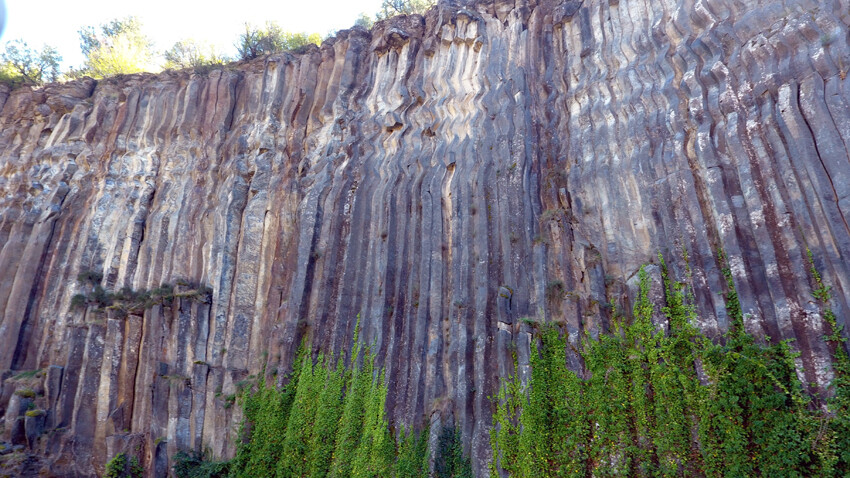 Dünyada çok ender, Türkiye'de ise sadece Sinop'ta: Tam 5 milyon yıl yaşında