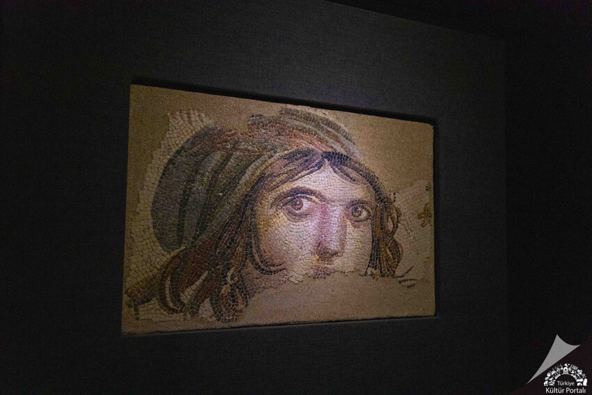 Mozaiklerin sırrı Roma İmparatorluğu’nun doğu garnizonu Zeugma'da gizli