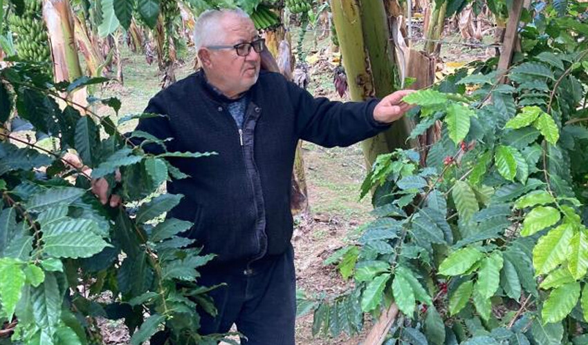 “Yapamazsın” diyenlere inat başardı… Türkiye’de ilk, bir tek onun bahçesinde yetişiyor