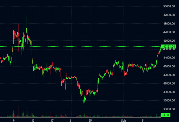 Bitcoin bir ay sonra 45 bin dolar sınırını yeniden aştı