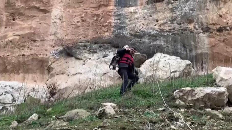 Yürek ısıtan görüntüler Batman'dan geldi, itfaiye eri yaramaz keçiyi sırtında taşıdı Yürek ısıtan görüntüler Batman'dan geldi, itfaiye eri yaramaz keçiyi sırtında taşıdı