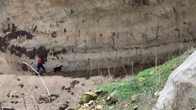 Yürek ısıtan görüntüler Batman'dan geldi, itfaiye eri yaramaz keçiyi sırtında taşıdı Yürek ısıtan görüntüler Batman'dan geldi, itfaiye eri yaramaz keçiyi sırtında taşıdı