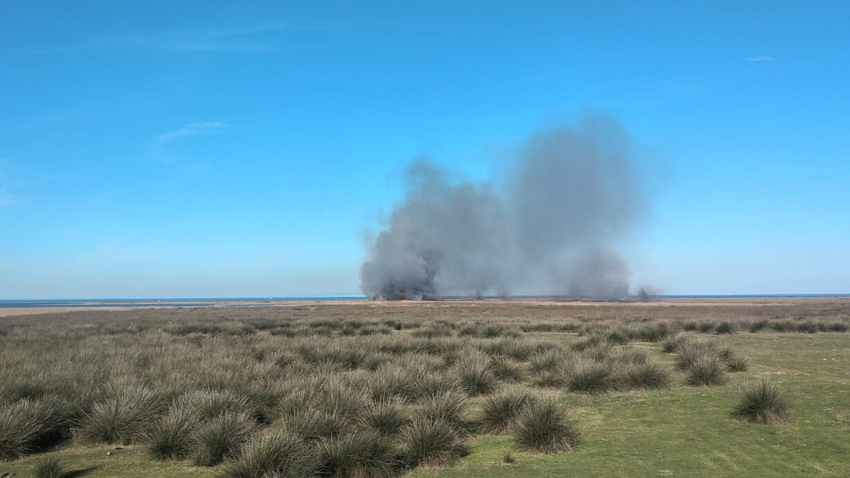 UNESCO listesindeki Kızılırmak Deltası Kuş Cenneti'nde korkutan alevler