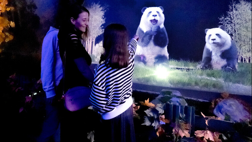 Dinozorlar, Türkiye'nin ilk holografik eğlence parkı DigiZoo'da hayat buluyor Dinozorlar, Türkiye'nin ilk holografik eğlence parkı DigiZoo'da hayat buluyor