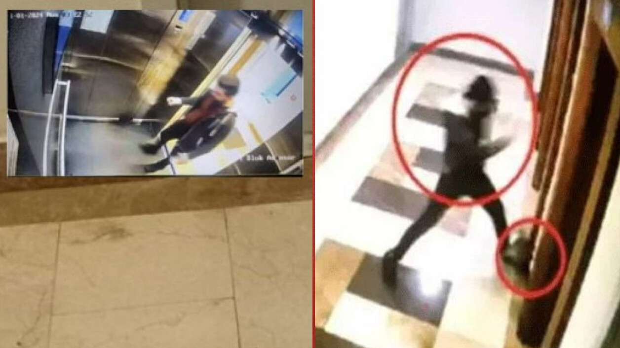 Asansörde kediyi döverek öldüren İbrahim Keloğlan kimdir? Eros kediyi 6 dk boyunca döven İbrahim Keloğlan serbest mi bırakıldı?