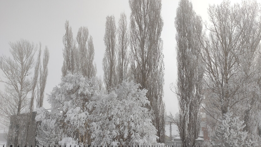 Ardahan kutuplara döndü! Nefes alırken bile buz soluyorlar