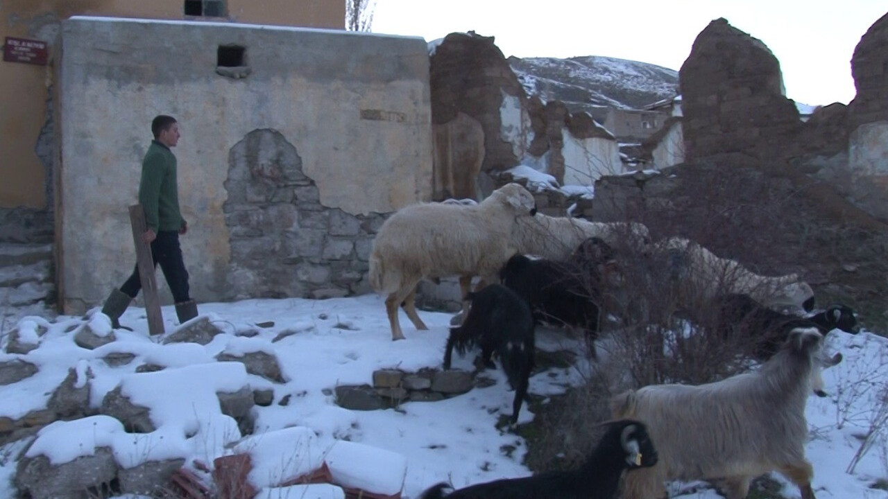 Sadece 15 kişi yaşıyor! Cinli köye muhtar adayı çıktı