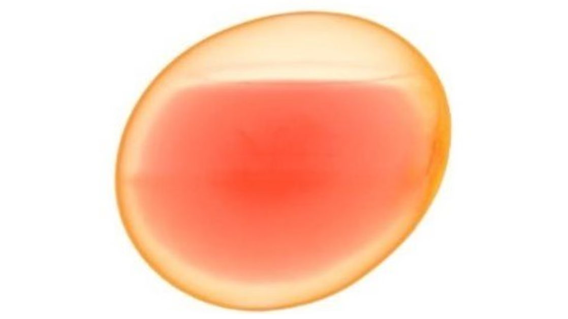 1700 yıllık yumurta mikro taramaya alındı! Çıkan sonuç hayret verici