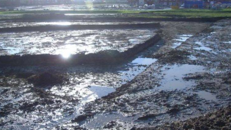 1700 yıllık yumurta mikro taramaya alındı! Çıkan sonuç hayret verici