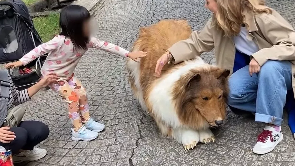 Bir tuhaf olay! Köpek olmak için servet harcadı