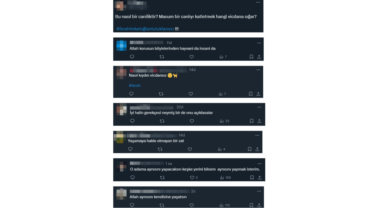 Kediyi işkence ederek öldüren caniye iyi hal indirimi hayvanseverleri ayağa kaldırdı Kediyi işkence ederek öldüren caniye iyi hal indirimi hayvanseverleri ayağa kaldırdı