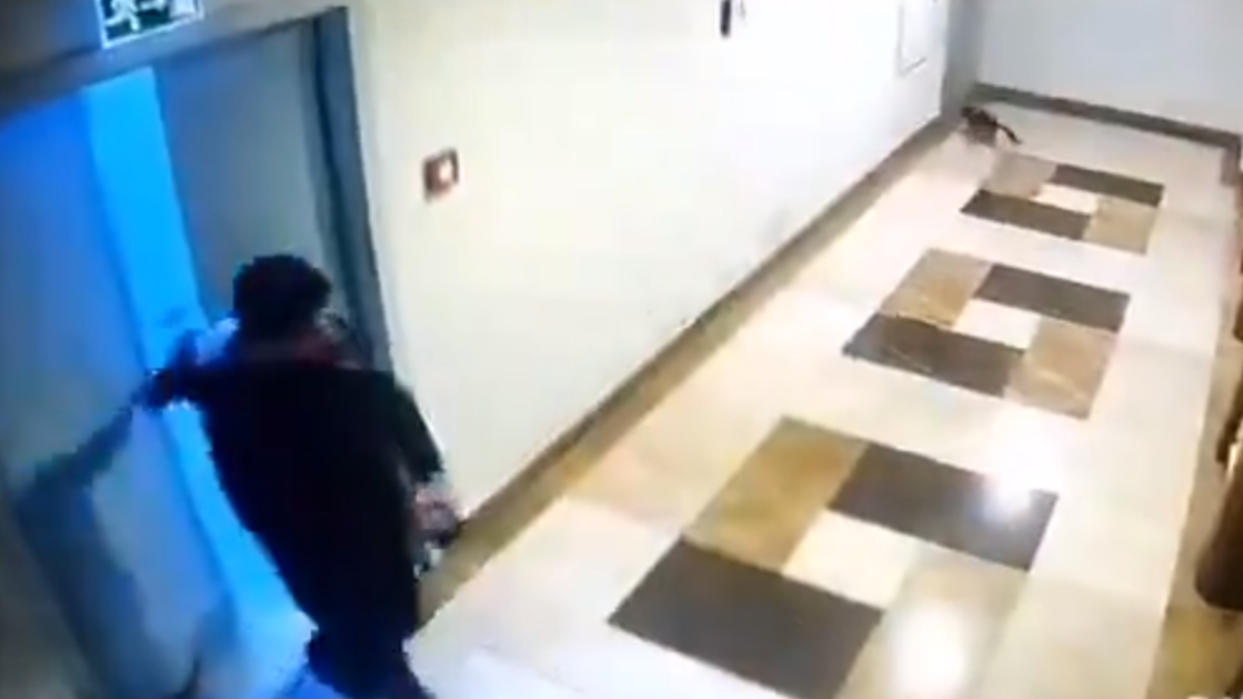 Kediyi işkence ederek öldüren caniye iyi hal indirimi hayvanseverleri ayağa kaldırdı Kediyi işkence ederek öldüren caniye iyi hal indirimi hayvanseverleri ayağa kaldırdı