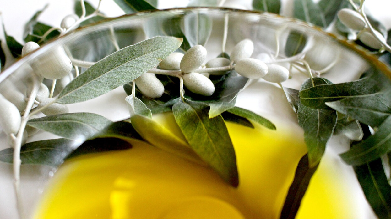 Zeytinyağı liginde hızlı büyüyoruz!