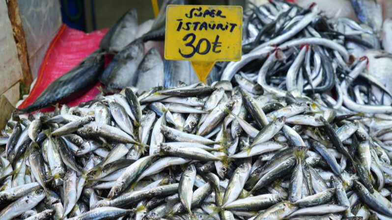 Balıkçılar şikayetçi: 30 TL'ye alan yok, pahalı olunca daha çok satıyoruz 
