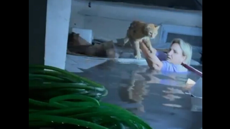 Canını hiçe saydı, su dolu bodrumda mahsur kalan kediyi dualarla kurtardı