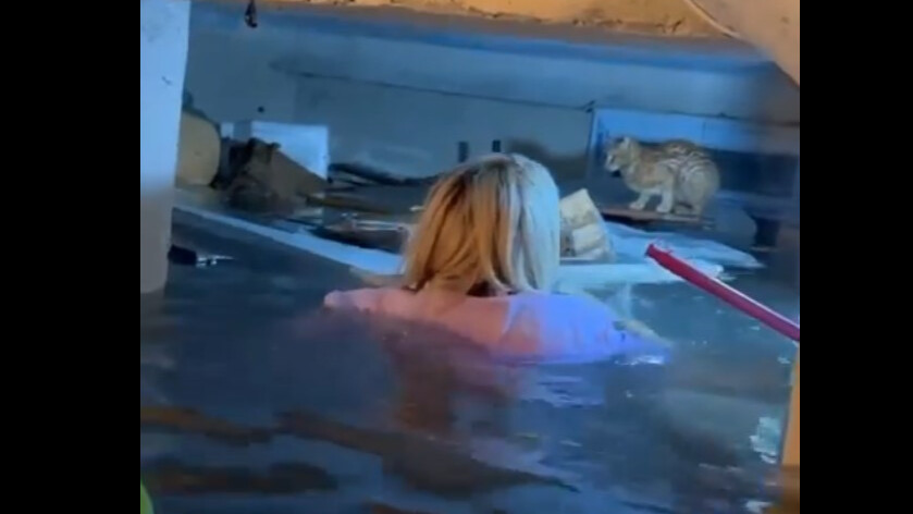 Canını hiçe saydı, su dolu bodrumda mahsur kalan kediyi dualarla kurtardı