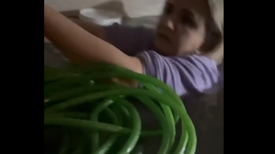 Canını hiçe saydı, su dolu bodrumda mahsur kalan kediyi dualarla kurtardı