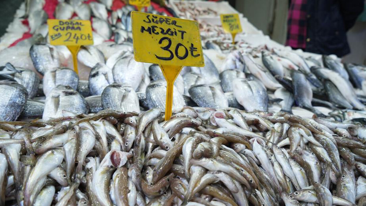 Balıkçılar şikayetçi: 30 TL'ye alan yok, pahalı olunca daha çok satıyoruz 