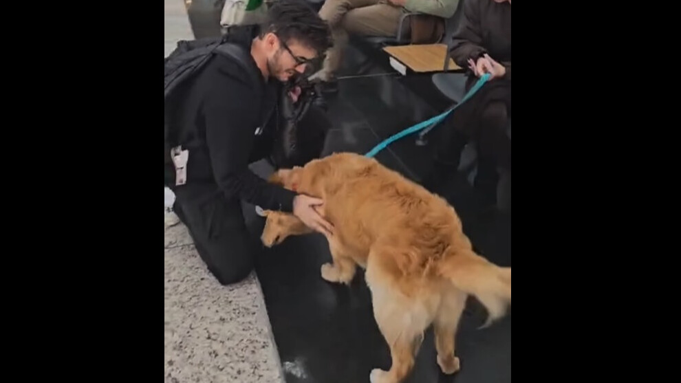 Mustafa Ceceli, terk edilen köpeğin uçuş gönüllüsü oldu