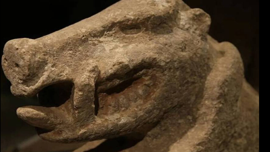 Kürek vurulan yerden hazine fışkırdı! Değeri milyar dolarlık, dünya o ilimizi konuşuyor