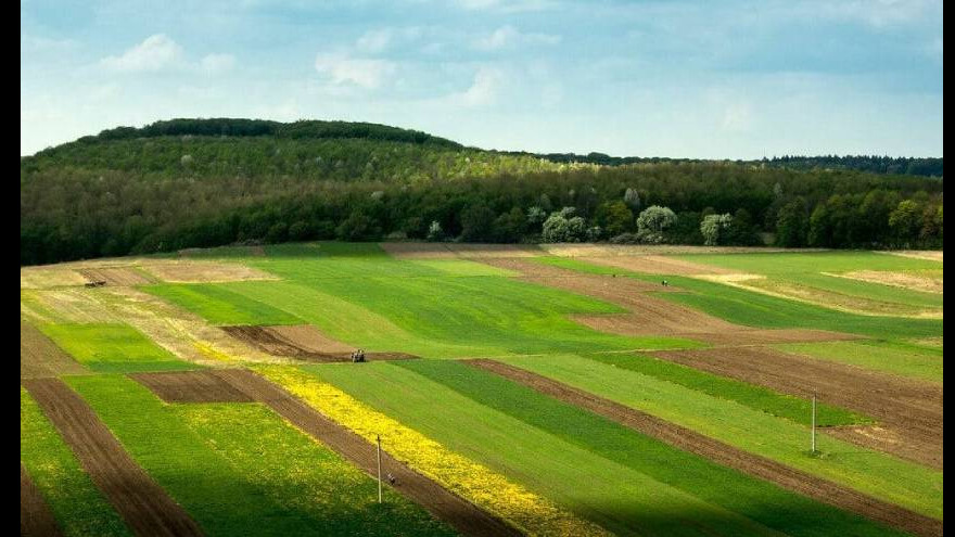 Toprak sahiplerine ek gelir fırsatı geliyor! Bu şartları sağlayanlar maaşa bağlanacak iddiası