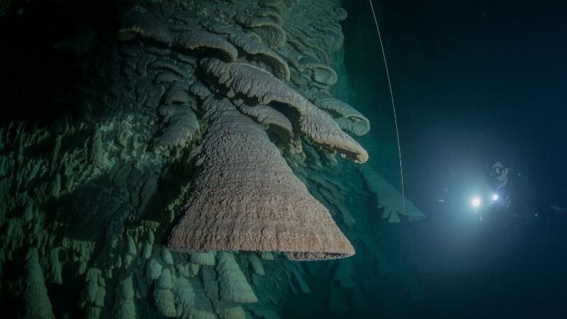 Mariana Çukuru nerede? Mariana Çukuru derinliği ne kadar?