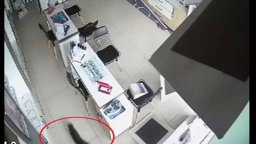 Güvenlik kamerasına saniye saniye yansıdı! Kırılan tavandan aşağı kedi böyle düştü