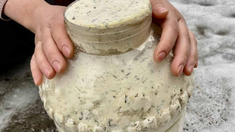 Ağrı’da asırlık gelenek: Toprağın altında saklanıyor, 2 yıl boyunca bozulmuyor