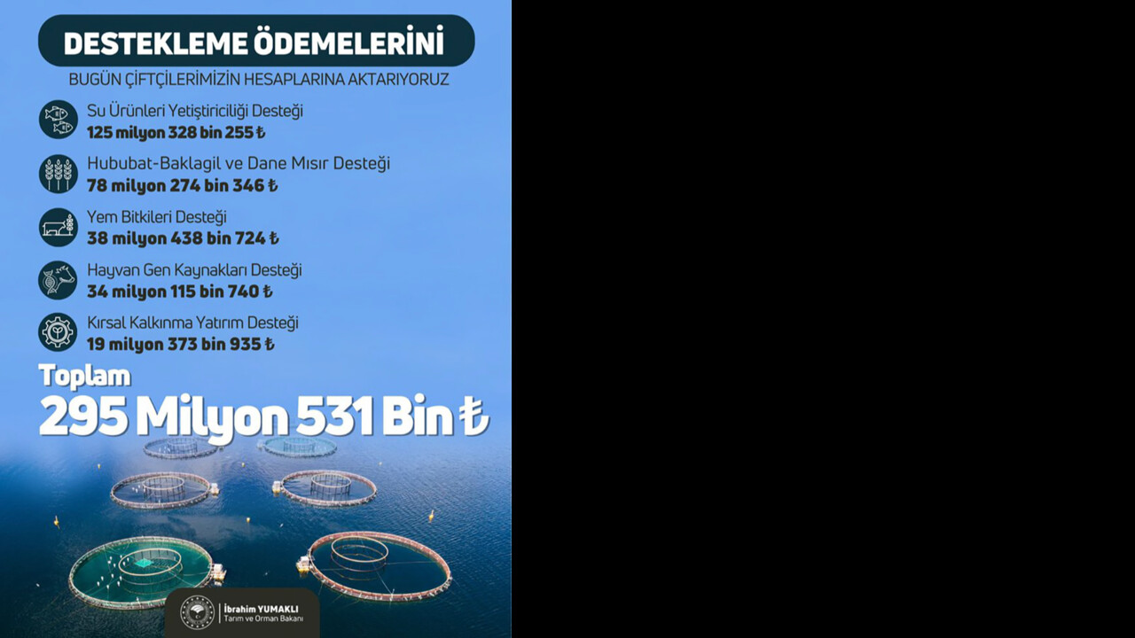 Tamı tamına 295 milyon lira! Bakan müjdeyi verdi, paralar hesaplarda 