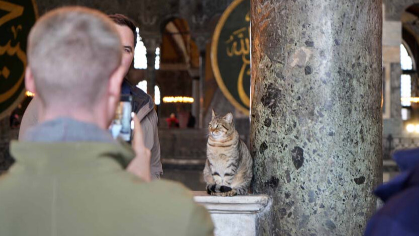 Turistler onun için sıraya girdi: İşte Ayasofya'nın yeni Gli'si