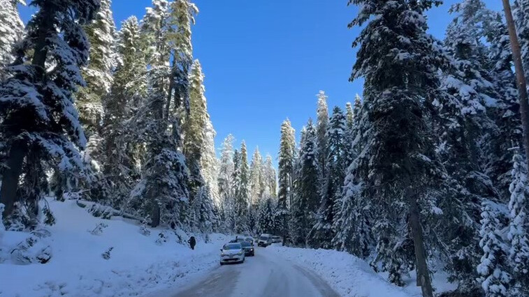 Bolu'da tatil yolu çile yolu oldu: Araçları iterek kurtardılar