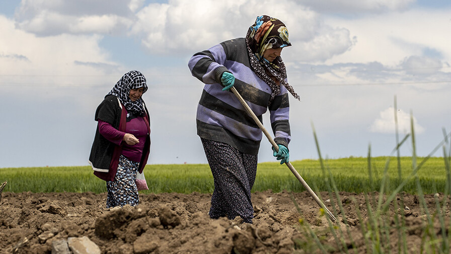 Mazot gübre desteği ne zaman yatacak 2024? Mazot gübre desteği ne zaman yatacak 2024?