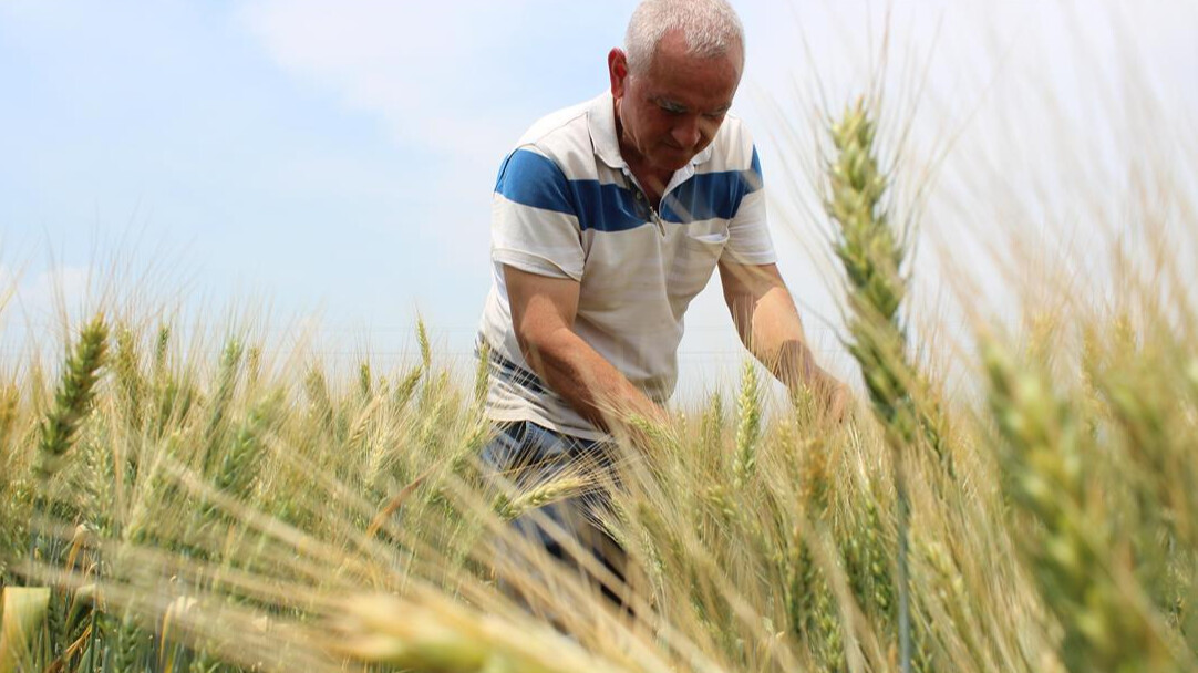 Mazot gübre desteği ne zaman yatacak 2024?