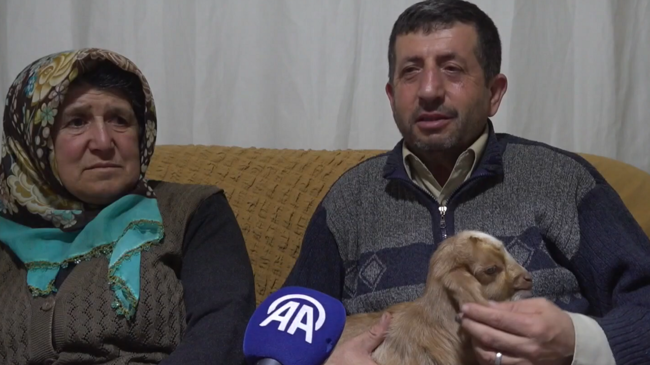 Annesinin bakmadığı oğlağı evlerinde bebek gibi büyütüyorlar Annesinin bakmadığı oğlağı evlerinde bebek gibi büyütüyorlar