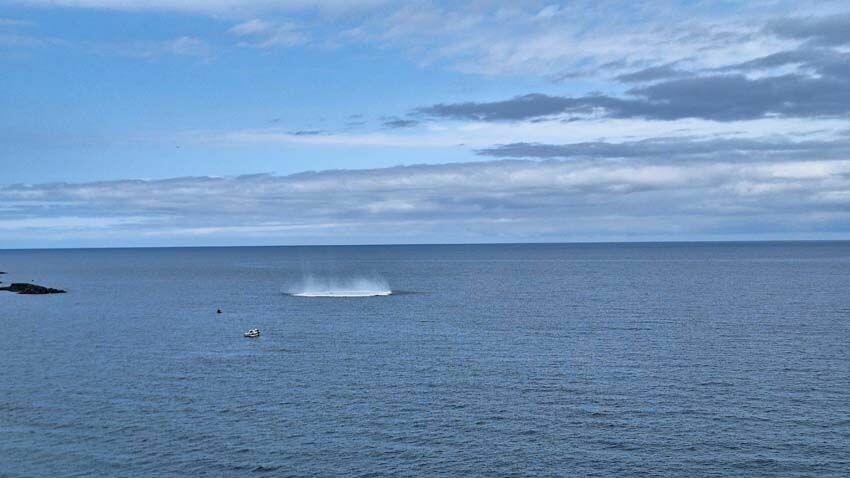 Trabzon açıklarında şüpheli tekne fünyeyle patlatıldı! Rus donanmasına saldırı mıydı? - 1. Resim