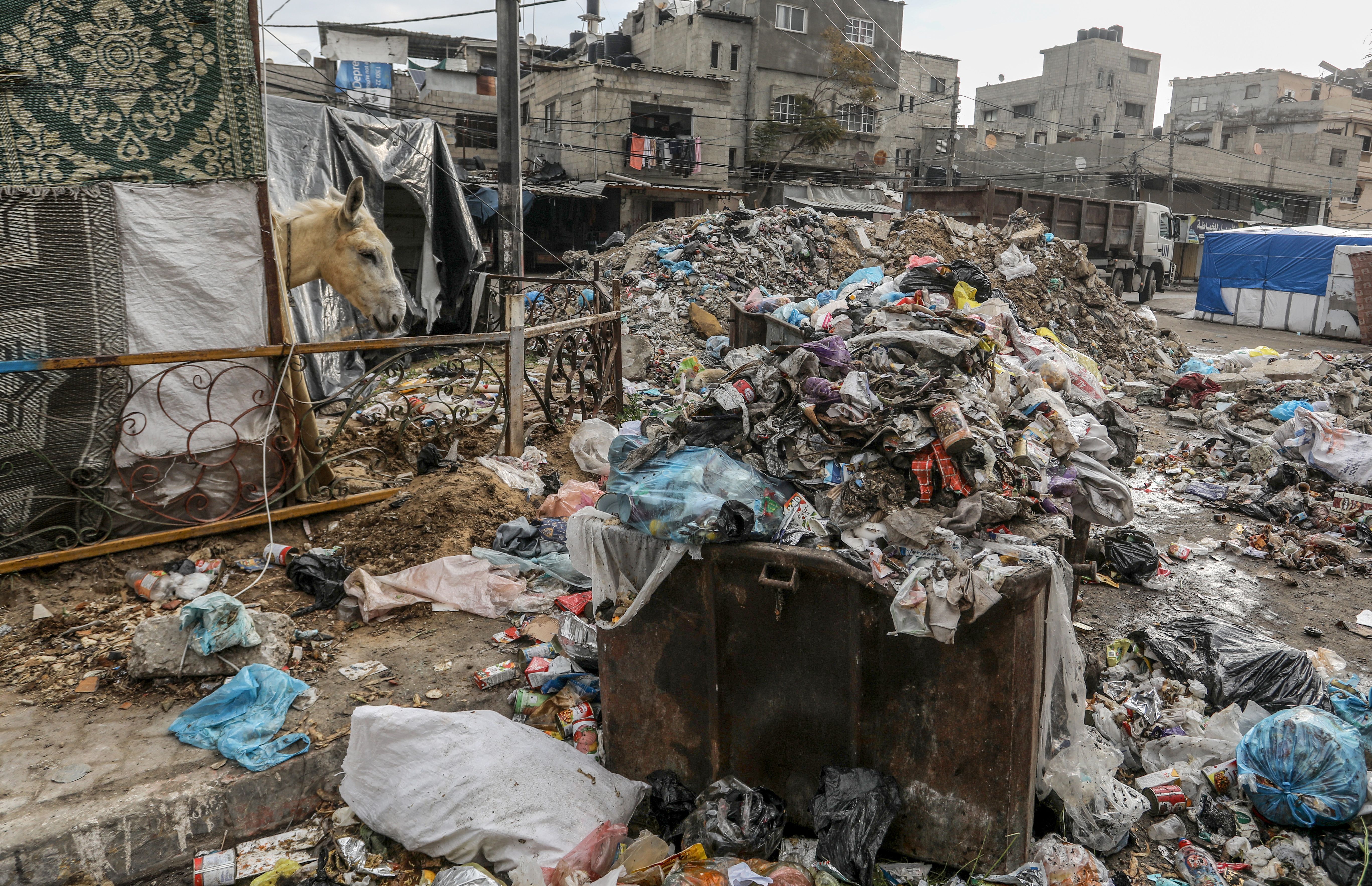 Bombalardan kurtulan felaketin pençesinde... Gazze sokakları artık çöp dağlarıyla dolu - 7. Resim