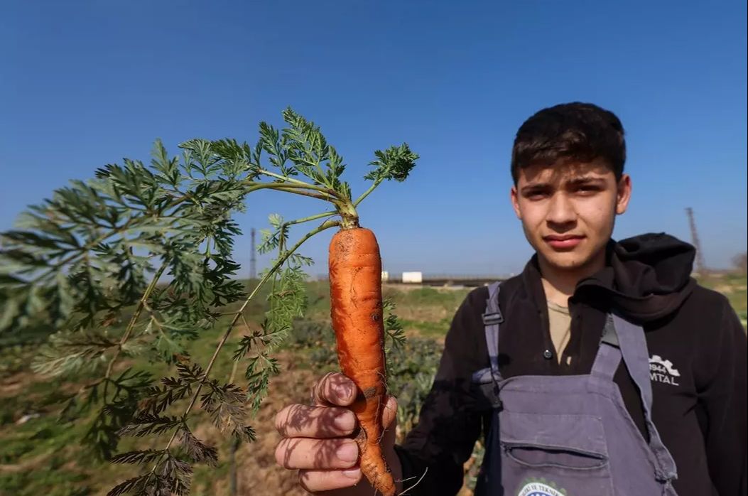 İlçenin çöplüğüydü, meslek liselilerin eliyle bostana dönüştü - 6. Resim
