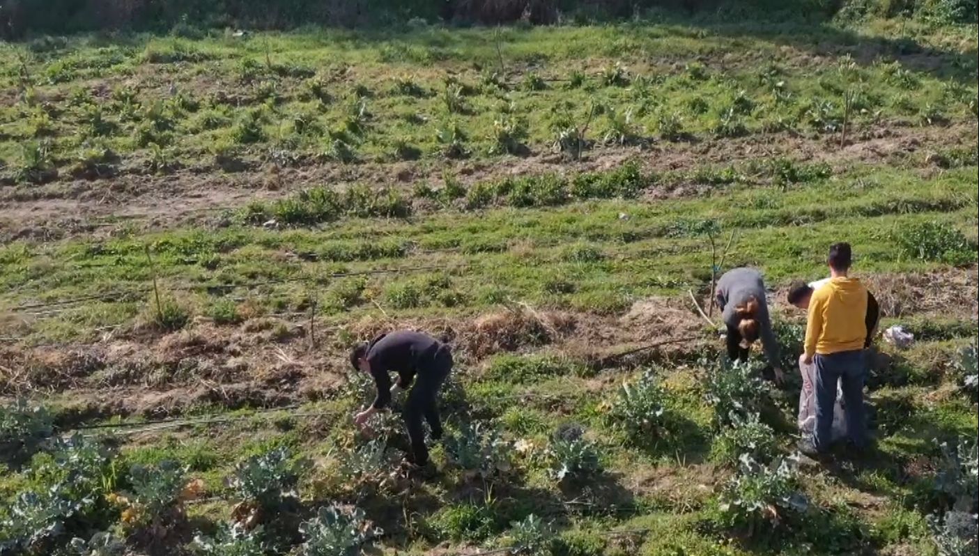 İlçenin çöplüğüydü, meslek liselilerin eliyle bostana dönüştü - 1. Resim