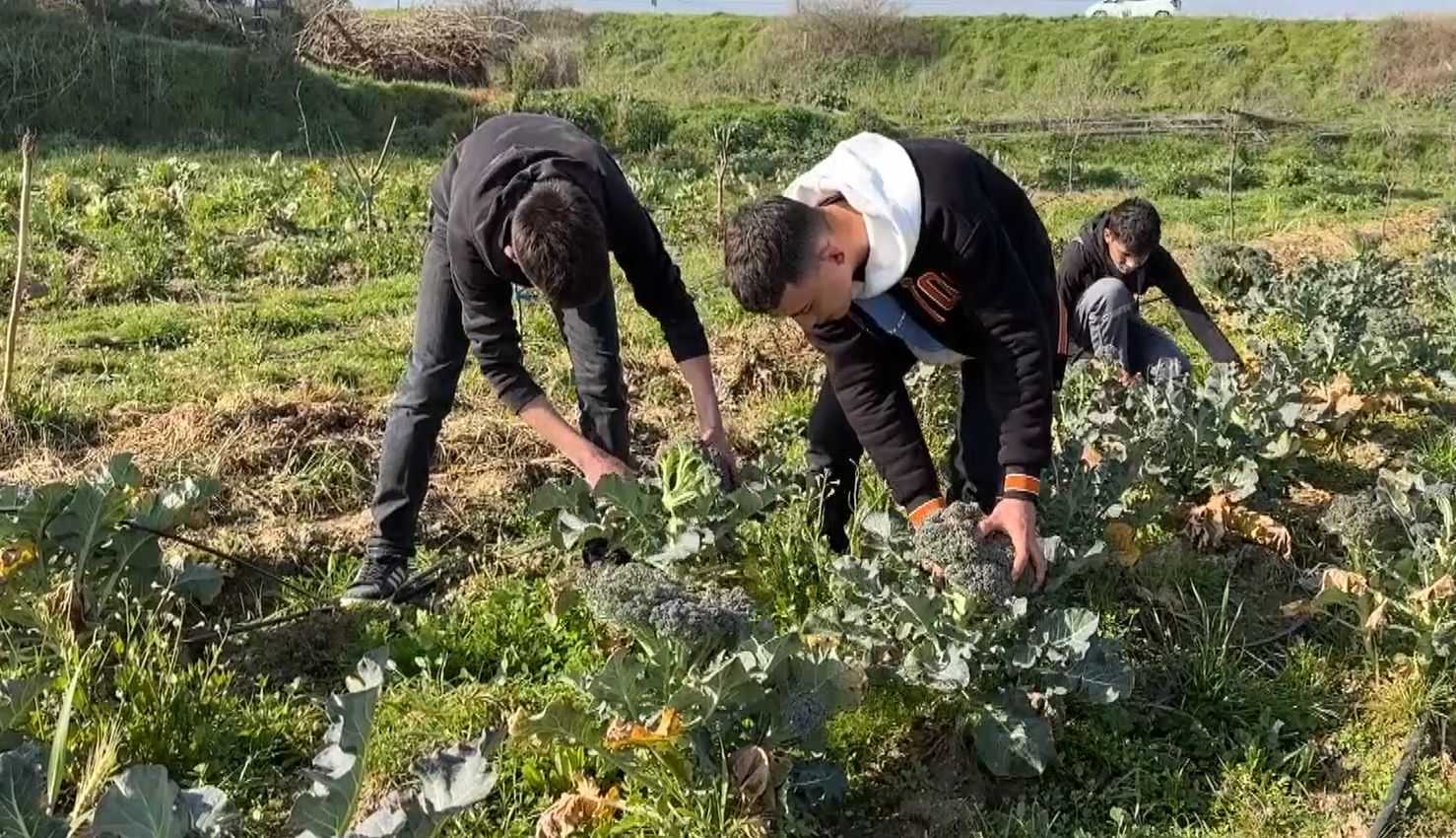 İlçenin çöplüğüydü, meslek liselilerin eliyle bostana dönüştü - 3. Resim