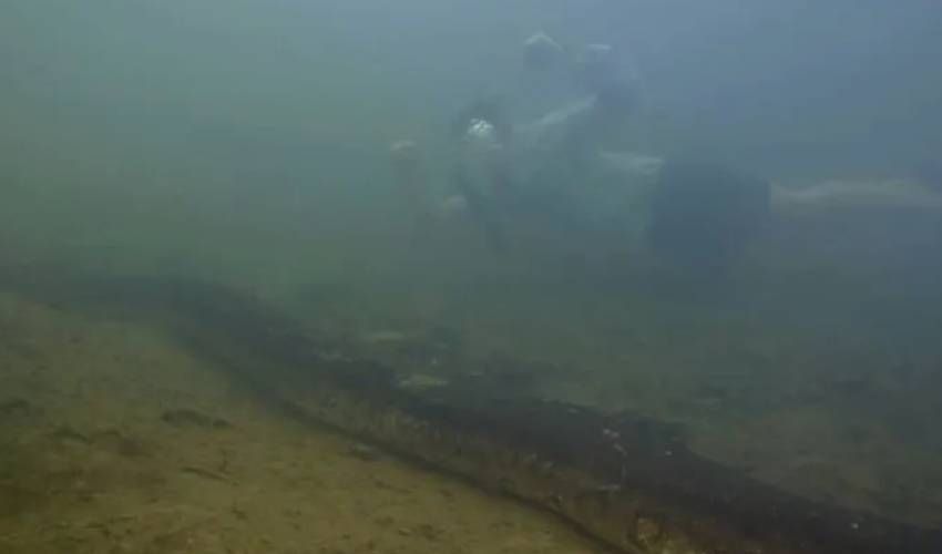 Dünyanın en büyük yılanı bulundu! Tam 500 kilo ağırlığında… Balta girilmemiş ormanda keşfedildi - 2. Resim