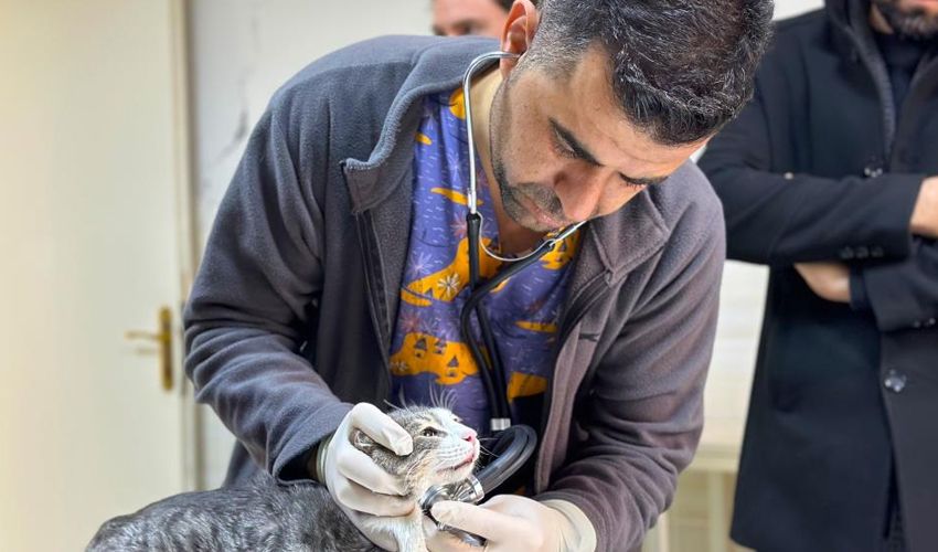 Hastaneler tıklım tıklım! Kritik uyarı geldi: İştahsızlık yaşıyorsa kliniğe başvurmalı - 2. Resim