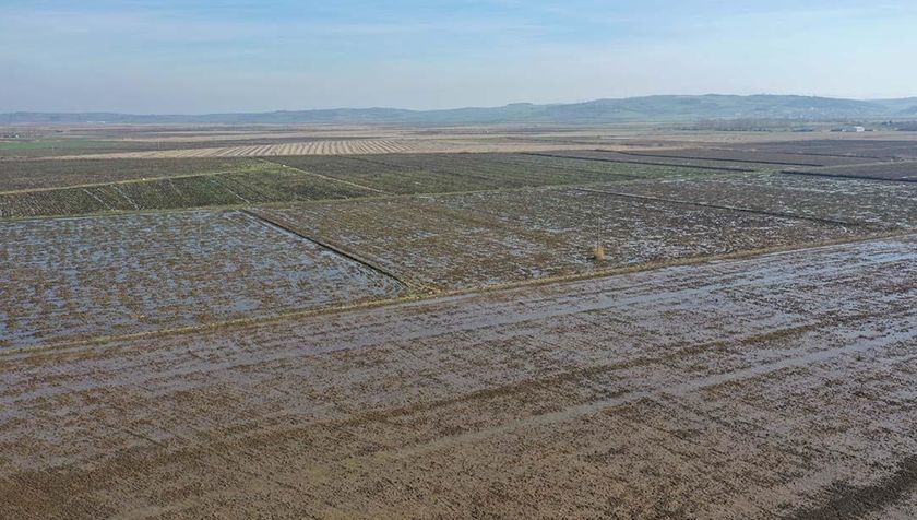 Yapay zeka desteğiyle çeltik tarlalarında yüzde 70'e varan su tasarrufu sağlanacak Yapay zeka desteğiyle çeltik tarlalarında yüzde 70'e varan su tasarrufu sağlanacak - 1. Resim