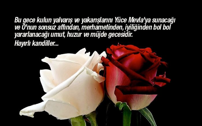 Beraat Kandili mesajları, dualı, ayetli en güzel ve yeni Berat Kandili mesajları ve sözleri Beraat Kandili mesajları, dualı, ayetli en güzel ve yeni Berat Kandili mesajları ve sözleri - 5. Resim