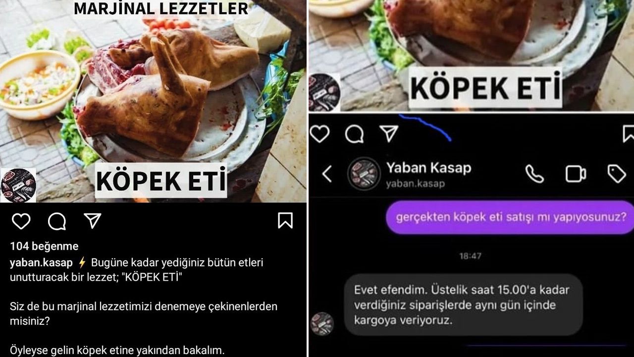 'Köpek eti satıyorum' dedi, gerçek ortaya çıktı 'Köpek eti satıyorum' dedi, gerçek ortaya çıktı - 1. Resim