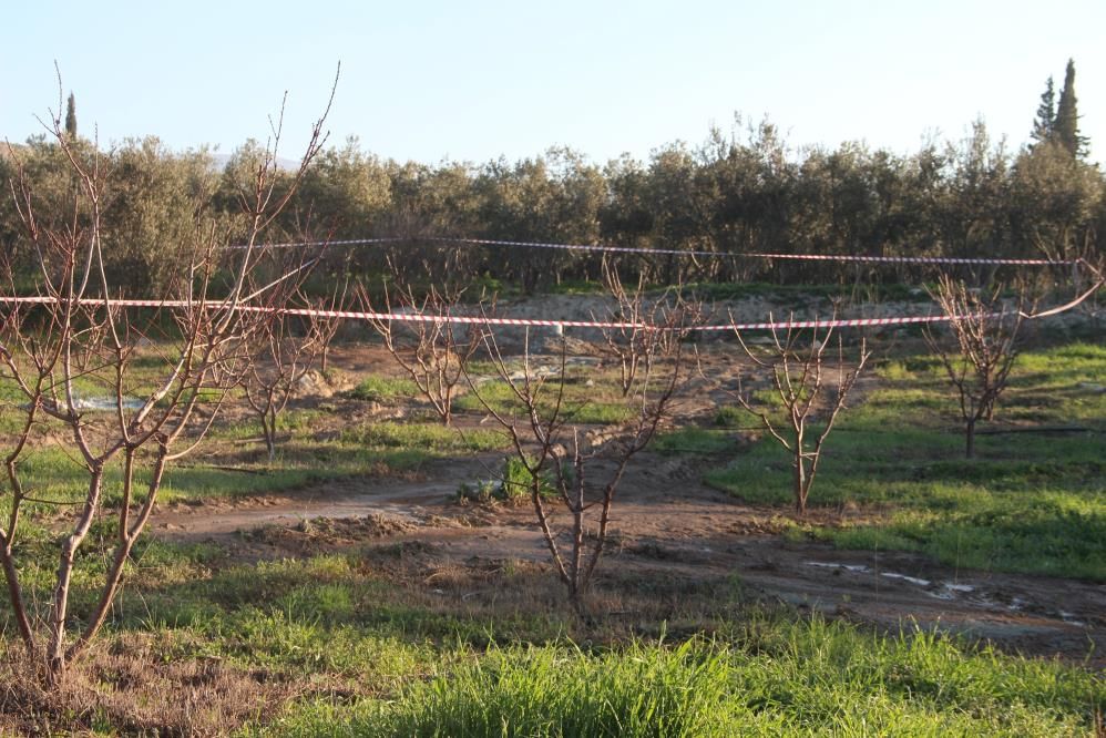 Mersin'de heyecanlandıran olay! Su arayan çiftçi gaz buldu, ekipler araştırıyor - 4. Resim