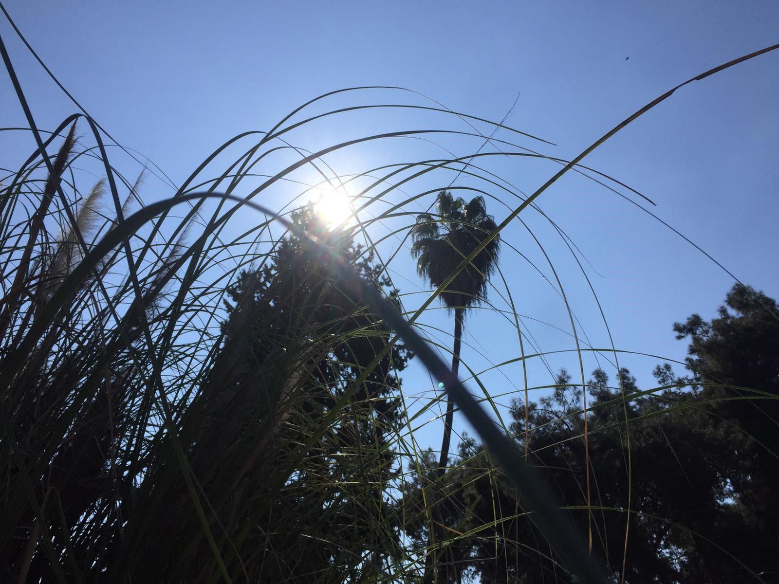 Şubat ayında baharı yaşadılar! Güneşi gören parklara akın etti - 2. Resim
